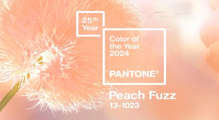 Pantone công bố màu của năm 2024: Peach Fuzz (Màu cam đào)